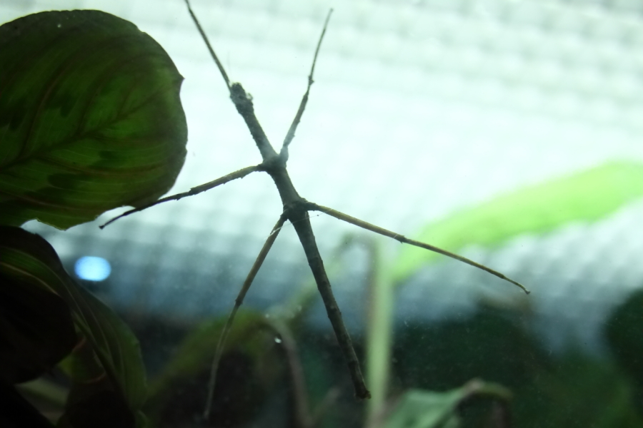 2013 09 20 HTP 08481